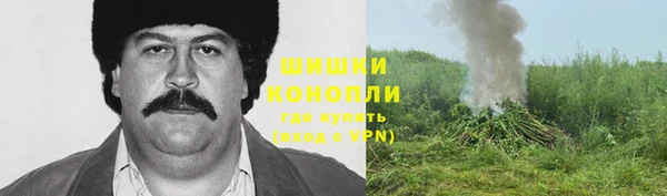 МДПВ Дмитровск