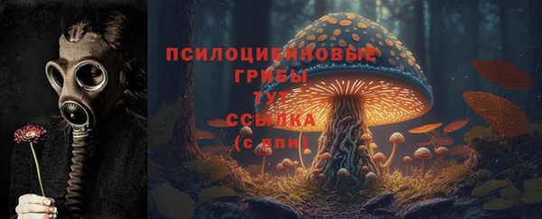 МДПВ Дмитровск
